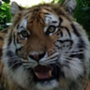 Meet your Posher, Barbara